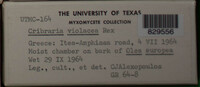 Image Associated With the Occurence